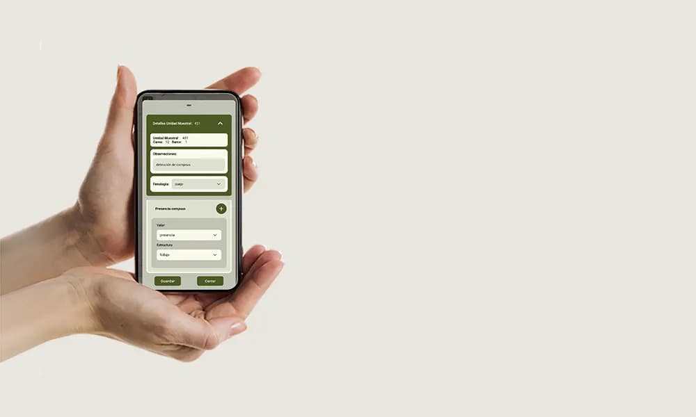 Bloomwise transforma tu forma de cultivar